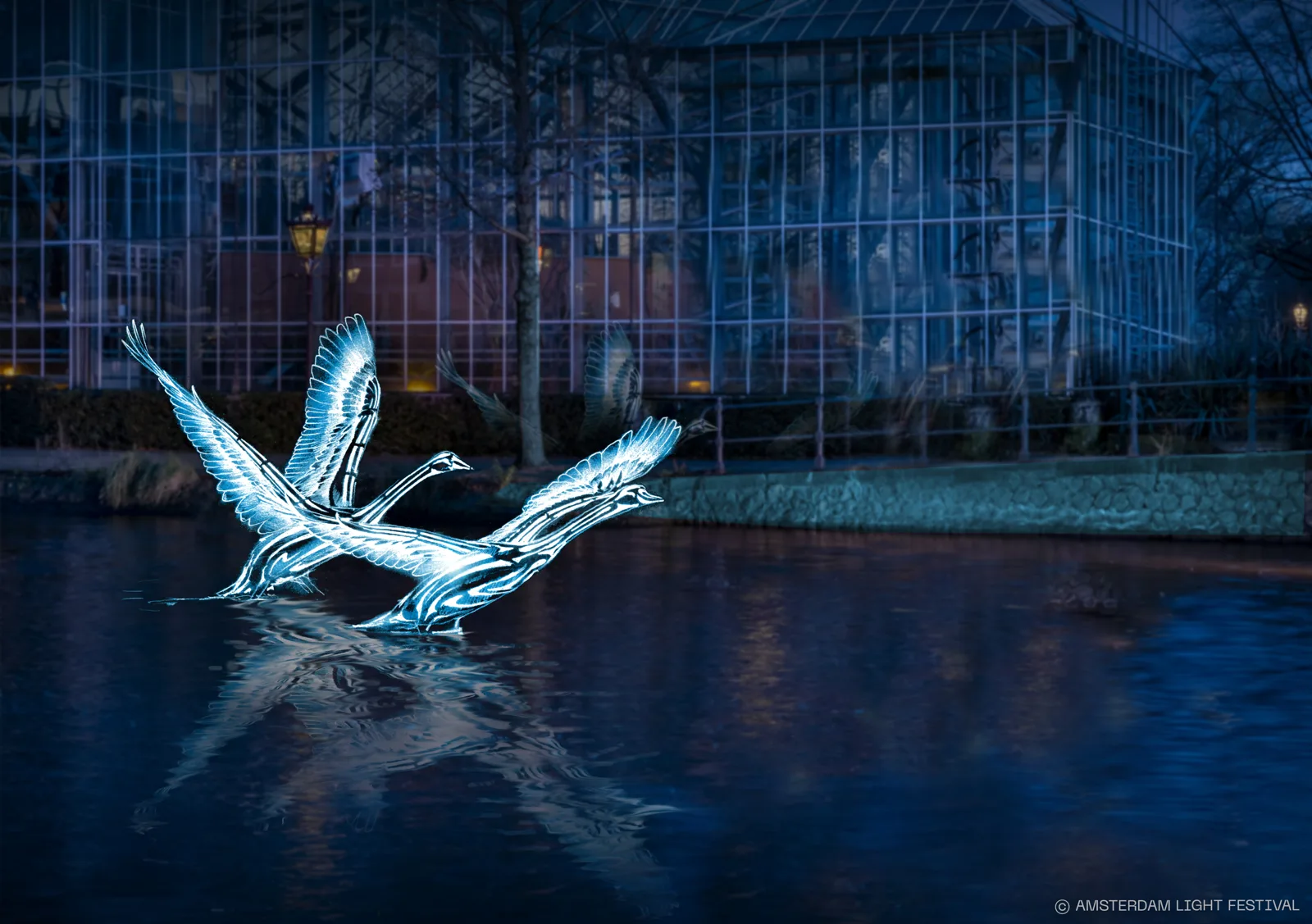 Swans – Jon Voss, Amsterdam Light Festival Edition 14